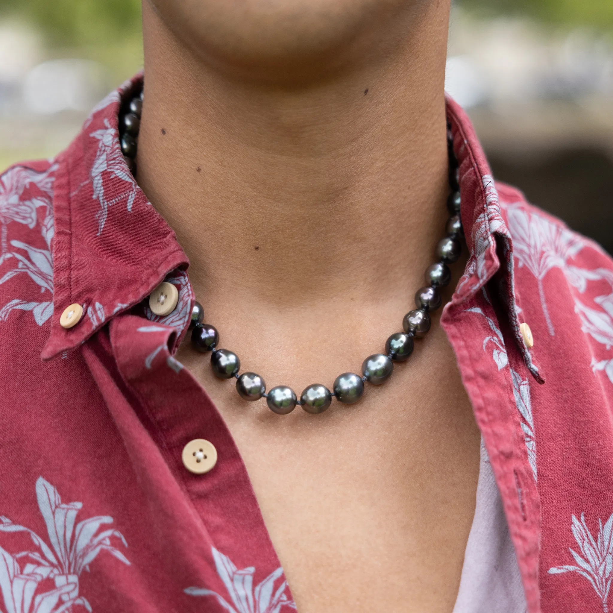 18-19" Tahitian Black Pearl Strand with Gold Clasp - 10-12mm