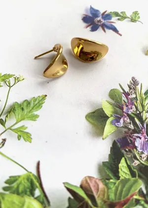 Carla Corp | 14k Inverted Oval